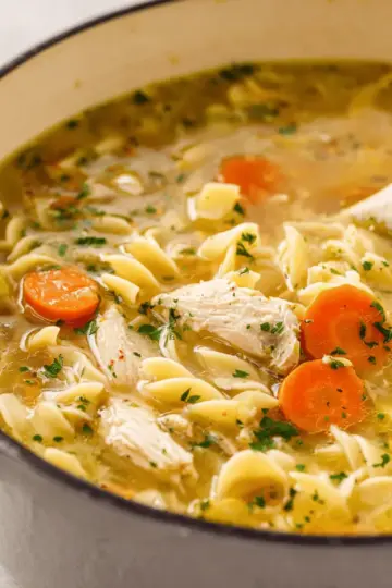 Easy One Pot Chicken Noodle Soup